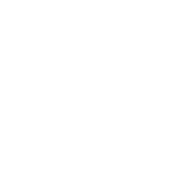 Fund Icon